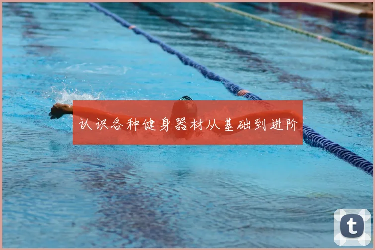 认识各种健身器材从基础到进阶