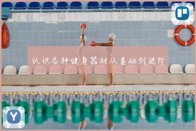 认识各种健身器材从基础到进阶